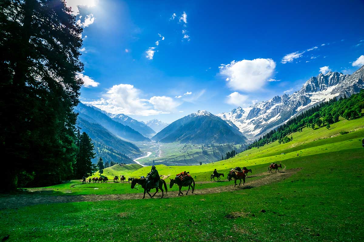 Kashmir